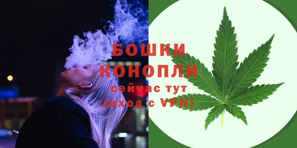 шишки Вязники