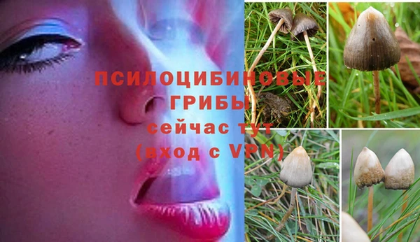 синтетический гашиш Медвежьегорск