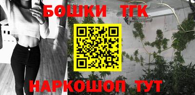 индика Кандалакша