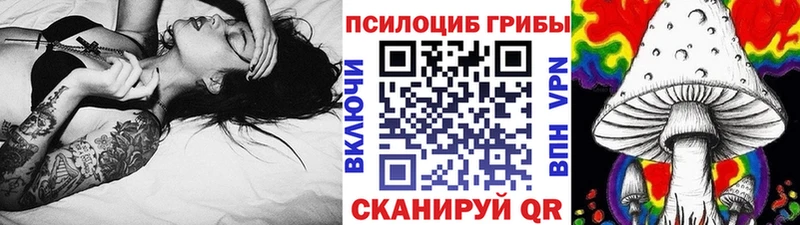 Псилоцибиновые грибы Cubensis  omg ONION  Карачаевск 