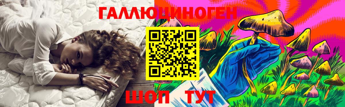 Карачаевск  Псилоцибиновые грибы MAGIC MUSHROOMS  Галлюциногенные грибы Cubensis  Вход с VPN 