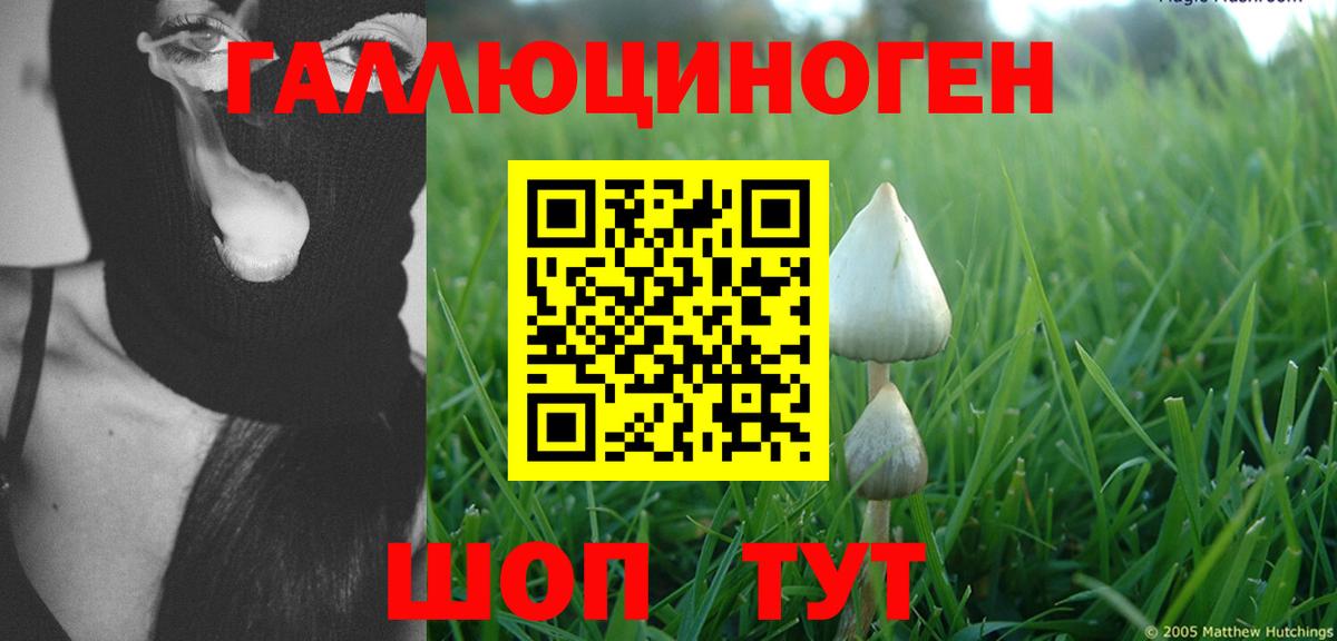 Галлюциногенные грибы ЛСД Карачаевск